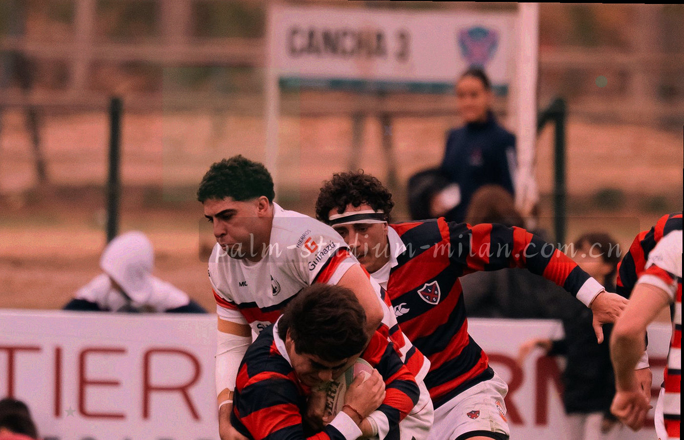 深色界面中排列着逐场累加的柱状图与折线图，数值用等宽字体高亮